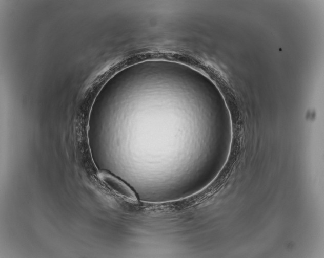 X0000090451159200707201308