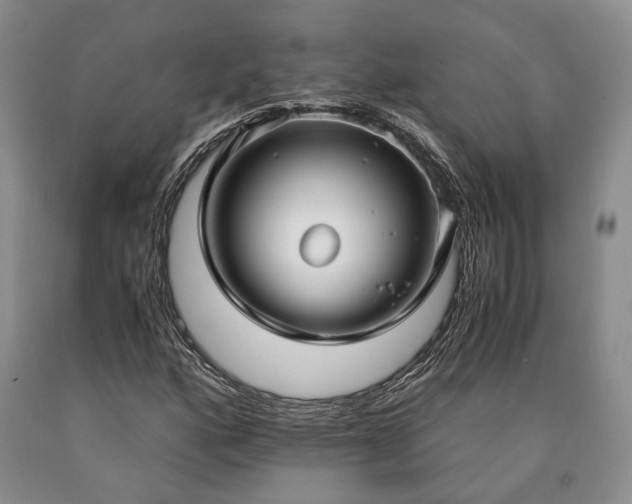 X0000090451160200707201308
