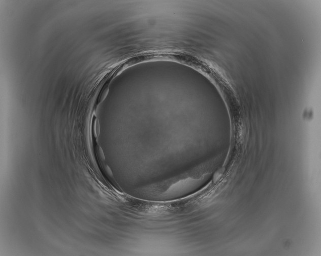X0000090451161200707201308