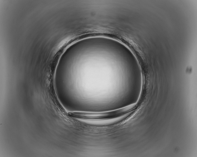 X0000090451163200707201308