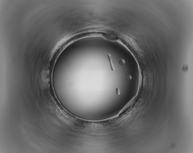 X0000090451164200707201308
