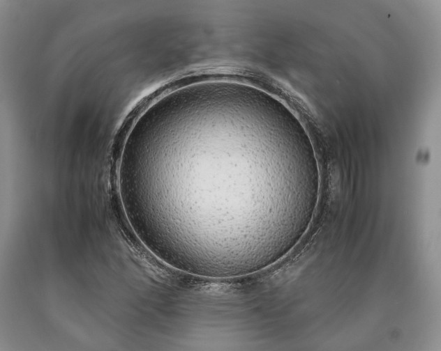 X0000090451166200707201308