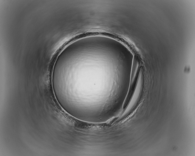 X0000090451167200707201308