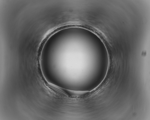 X0000090451168200707201307