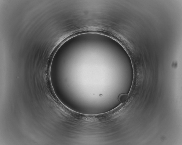 X0000090451170200707201307