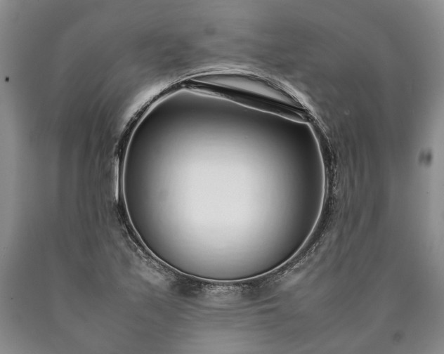 X0000090451171200707201307