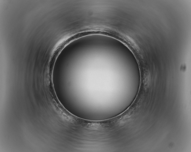 X0000090451172200707201307