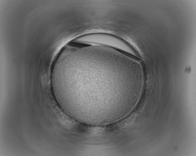 X0000090451173200707201307