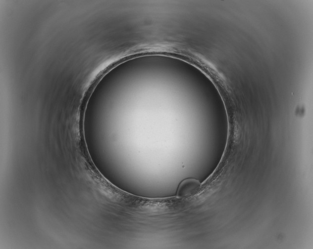 X0000090451174200707201307