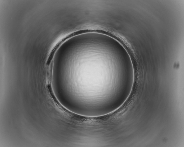 X0000090451175200707201307
