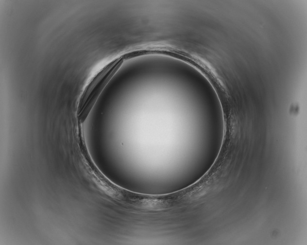 X0000090451176200707201307