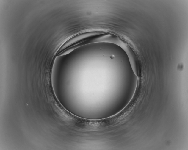 X0000090451177200707201307