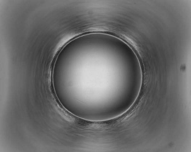 X0000090451179200707201307
