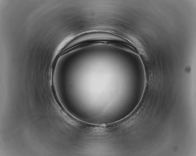 X0000090451180200707201307
