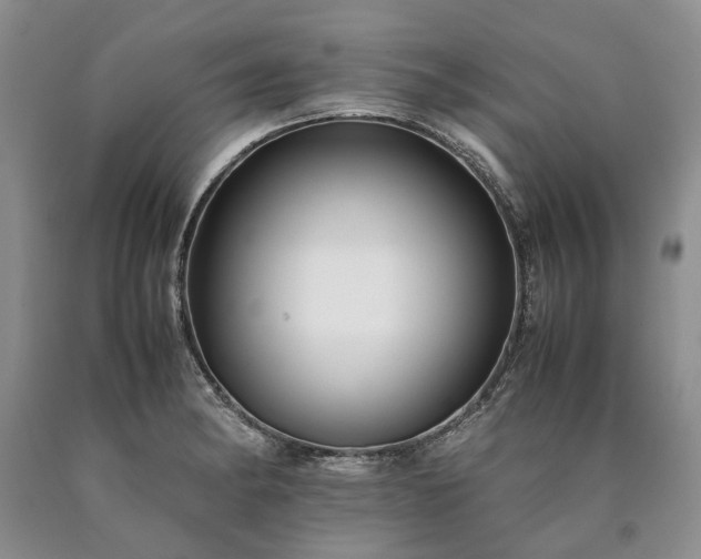X0000090451182200707201307