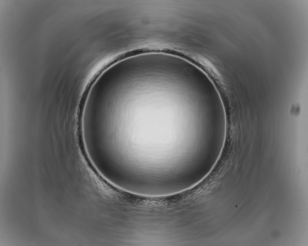 X0000090451183200707201307