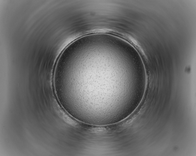 X0000090451186200707201307