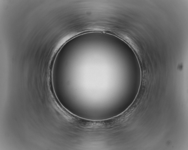 X0000090451187200707201307