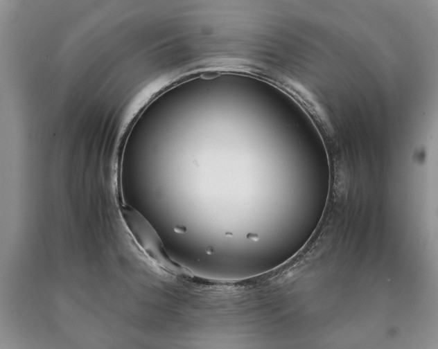 X0000090451188200707201307