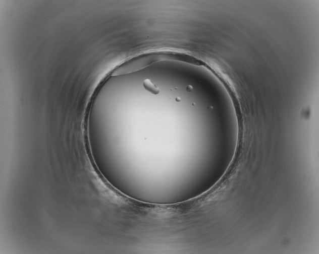 X0000090451189200707201307