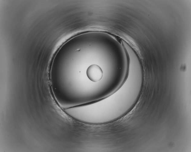 X0000090451192200707201307