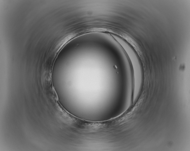 X0000090451193200707201307