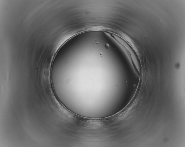X0000090451194200707201307