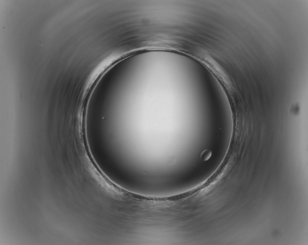 X0000090451196200707201307