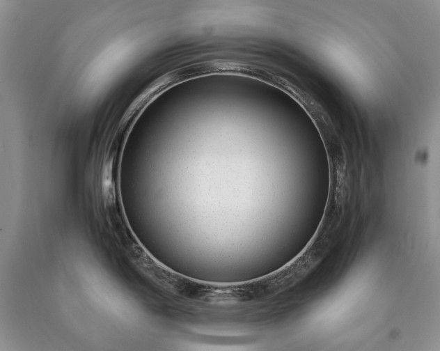 X0000090451198200707201307