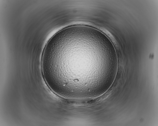 X0000090451199200707201307