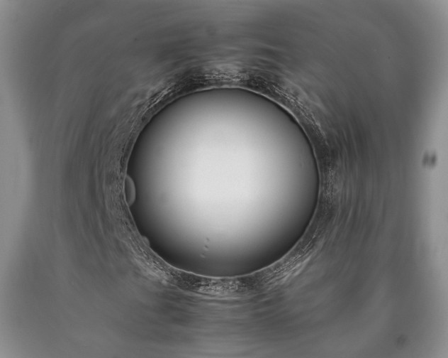 X0000090451201200707201306