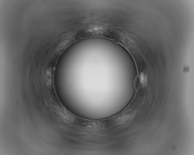 X0000090451203200707201307