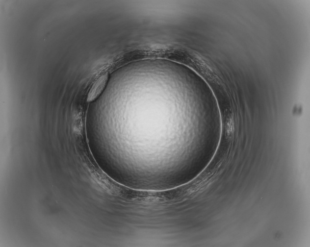 X0000090451204200707201307