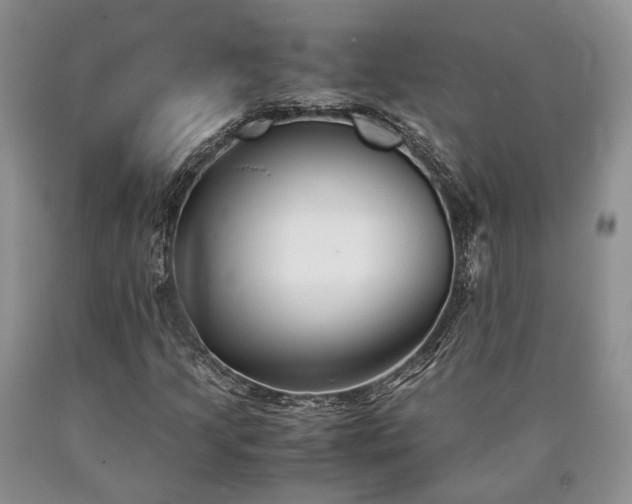 X0000090451205200707201307