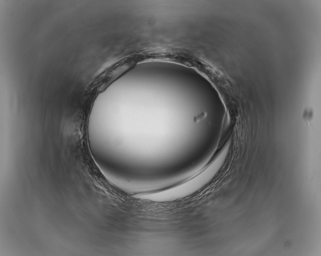 X0000090451206200707201307
