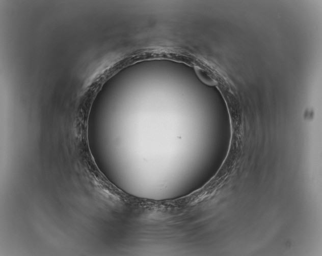 X0000090451207200707201307