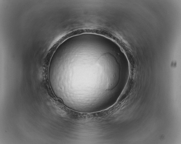 X0000090451208200707201307