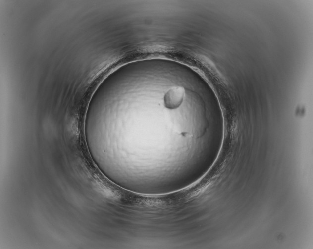 X0000090451209200707201307