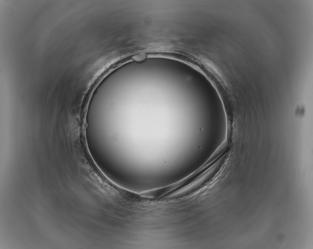 X0000090451212200707201307
