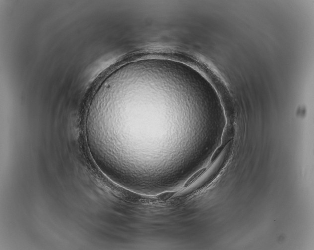 X0000090451213200707201307