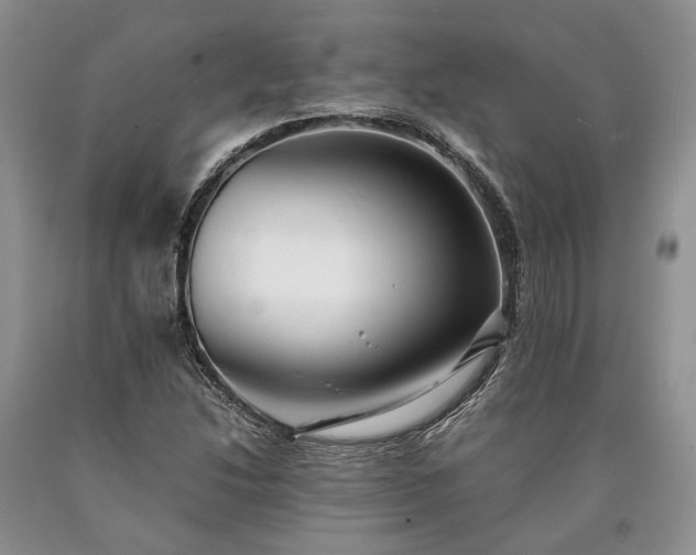 X0000090451214200707201307