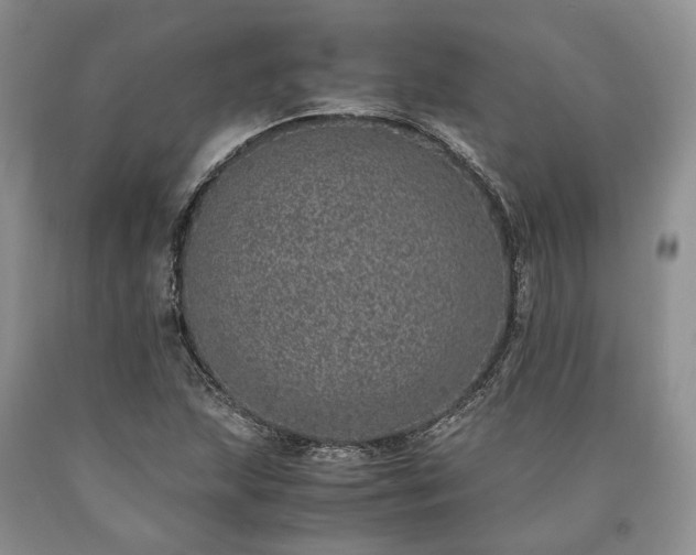 X0000090451215200707201307