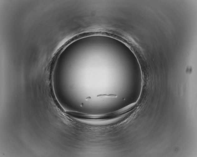 X0000090451216200707201307