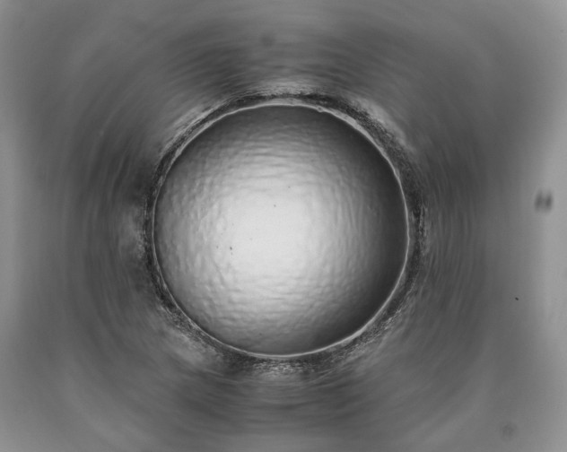 X0000090451217200707201307