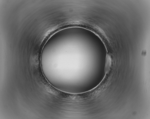 X0000090451218200707201307