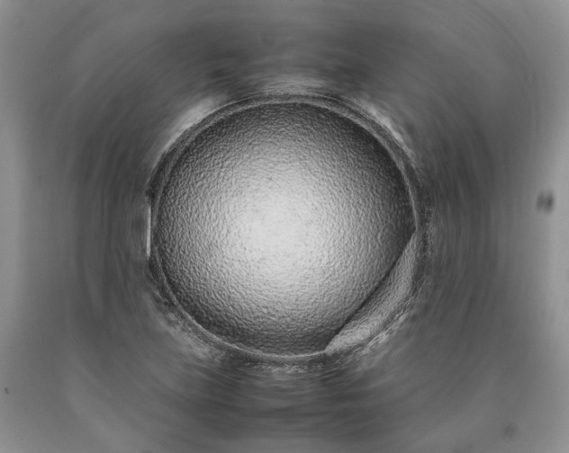 X0000090451219200707201307
