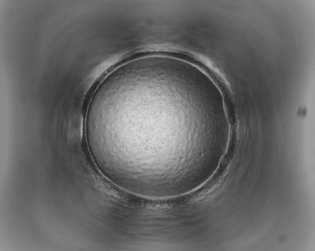 X0000090451221200707201307