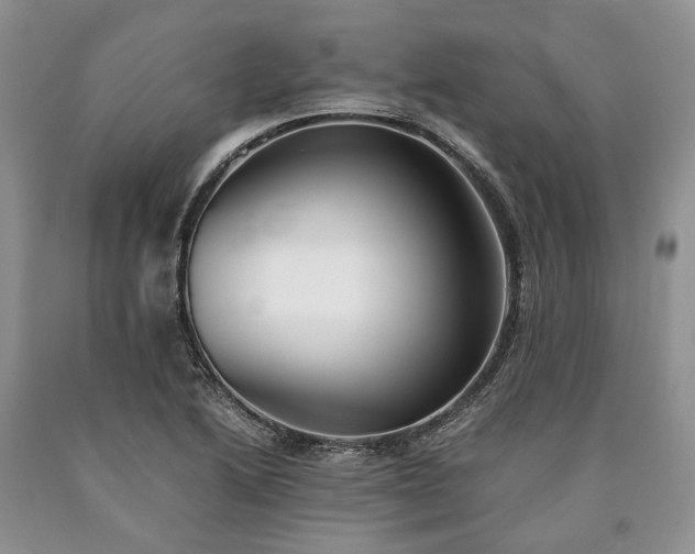 X0000090451222200707201307