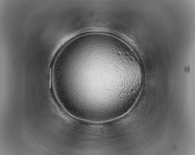 X0000090451223200707201307