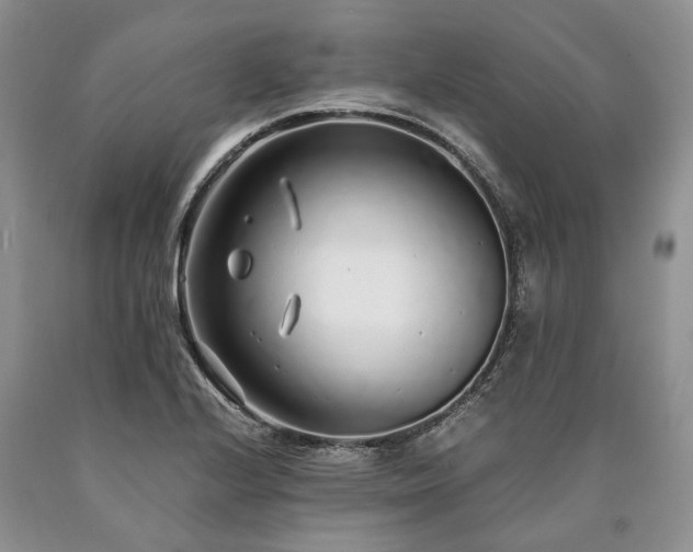 X0000090451224200707201307